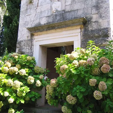 Supetar Cavtat